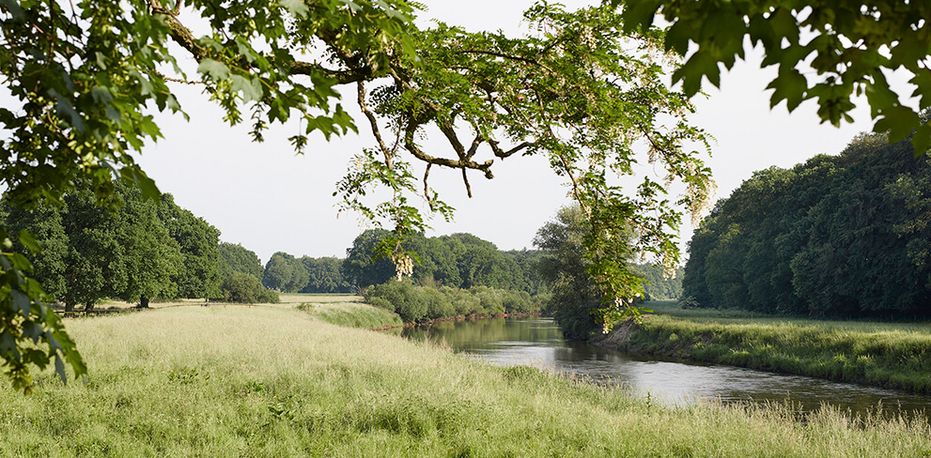 Fluß fließt durch Parklandschaft