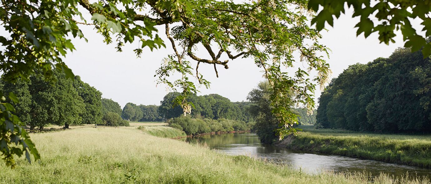 Fluß fließt durch Parklandschaft