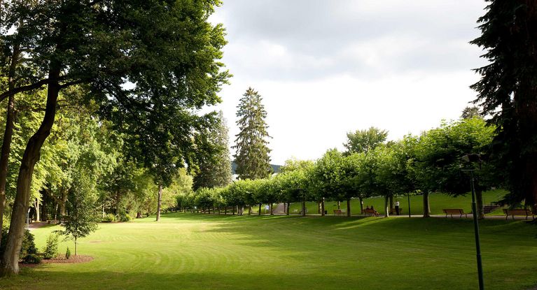 Grüner Park in Bad Orb